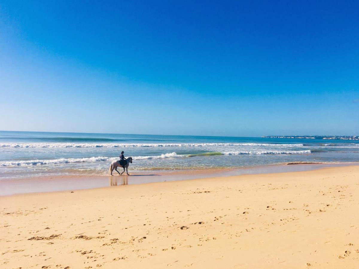 Apartamento Regenbogen - Salgados Lagoas Albufeira