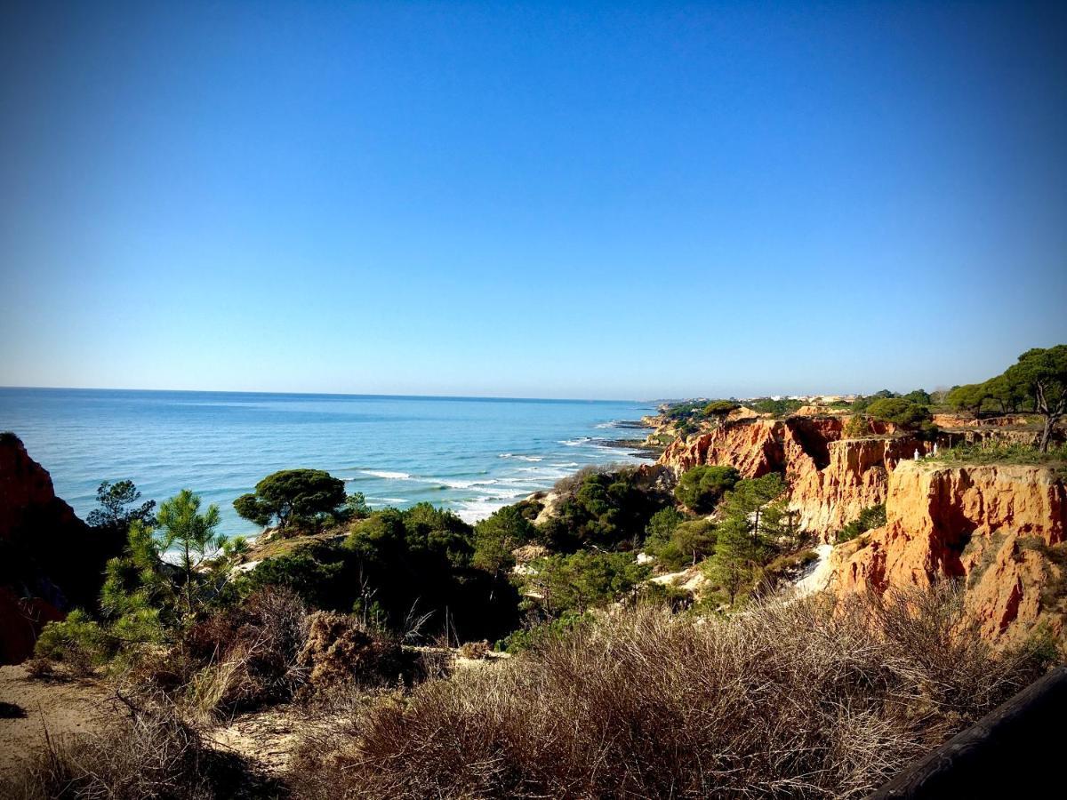 Regenbogen - Salgados Lagoas Albufeira